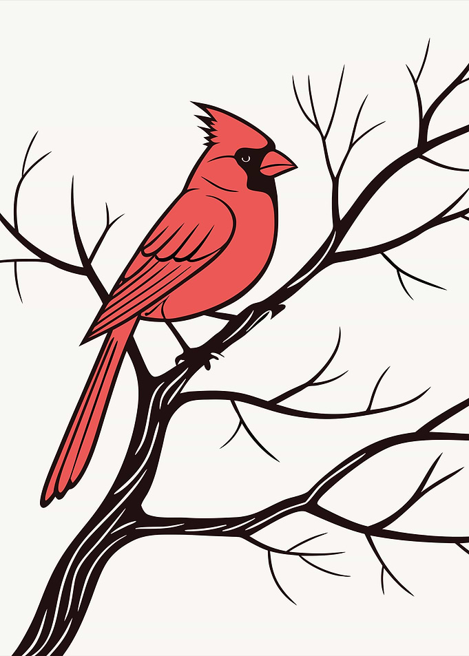 Cardinal Bird on Branch Illustration