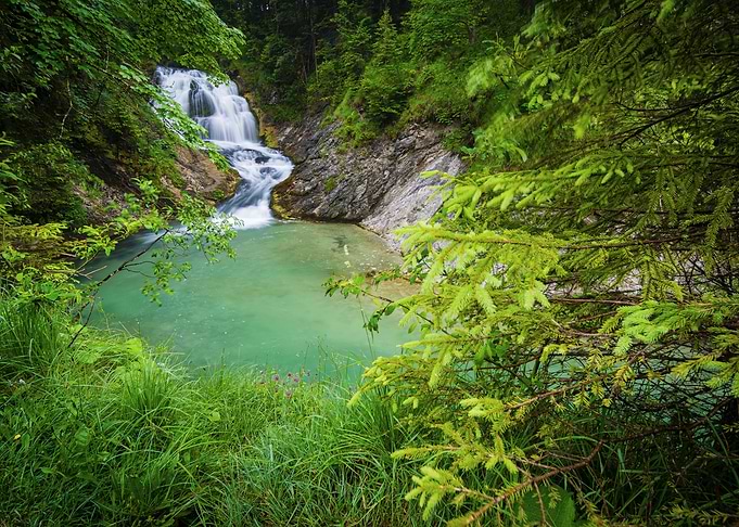 Waterfall and Pool in Lush Forest