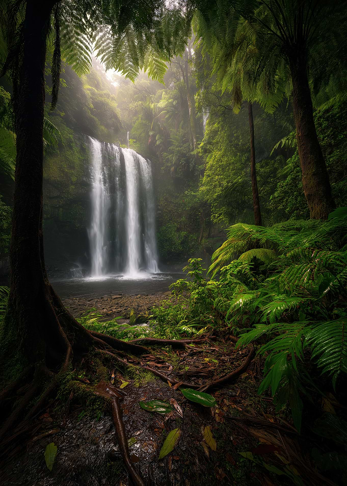 Waterfall in Lush Green Rainforest