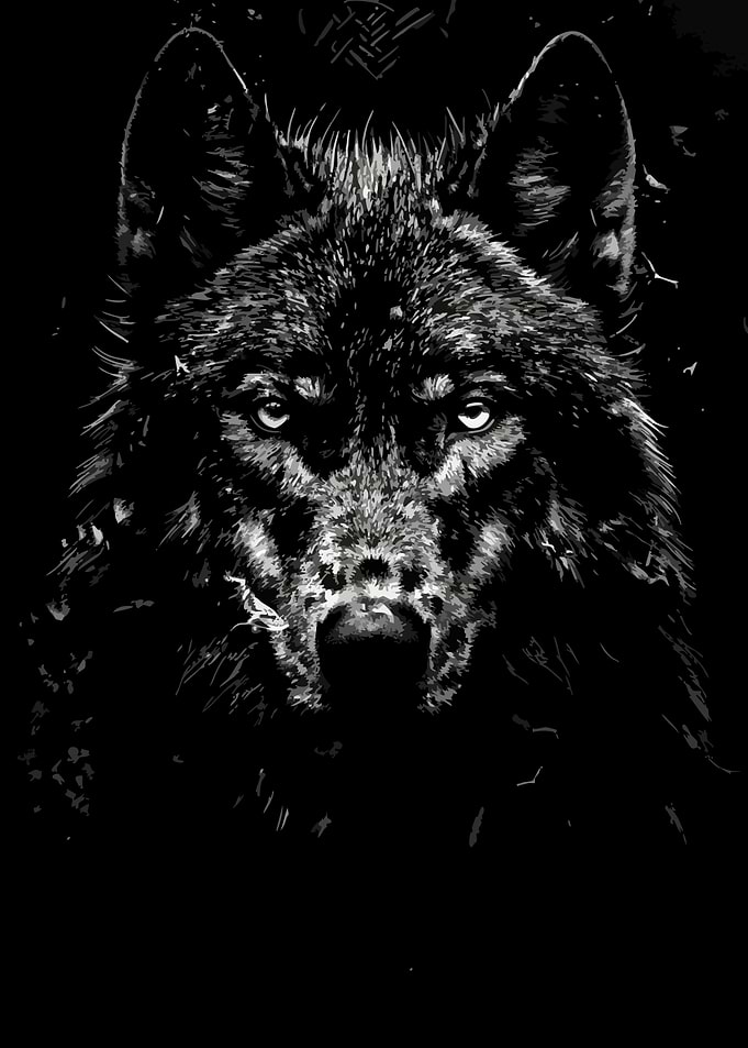 Monochrome Wolf Portrait