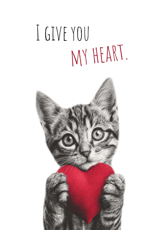 Gift of the heart