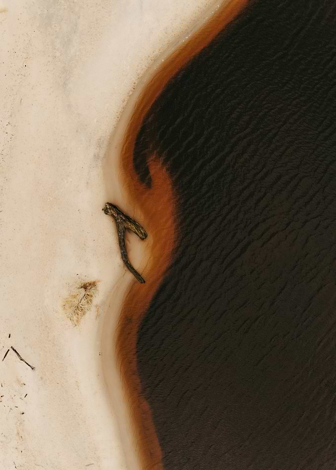 Aerial view of shoreline with driftwood