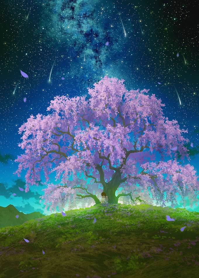 Cherry Blossom Tree Under Starry Sky