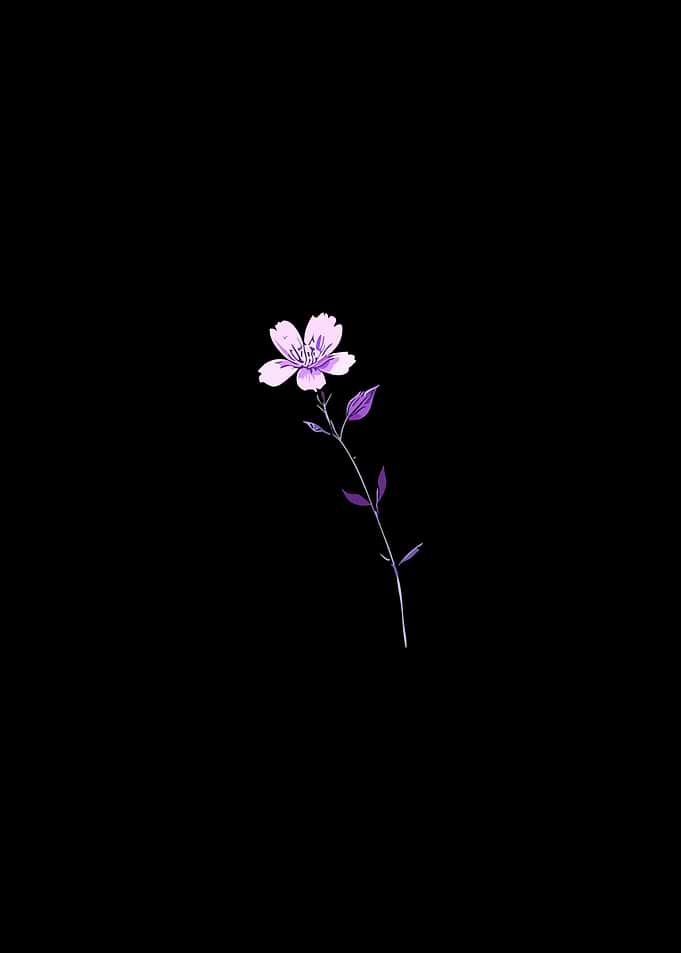 Purple Flower on Black Background