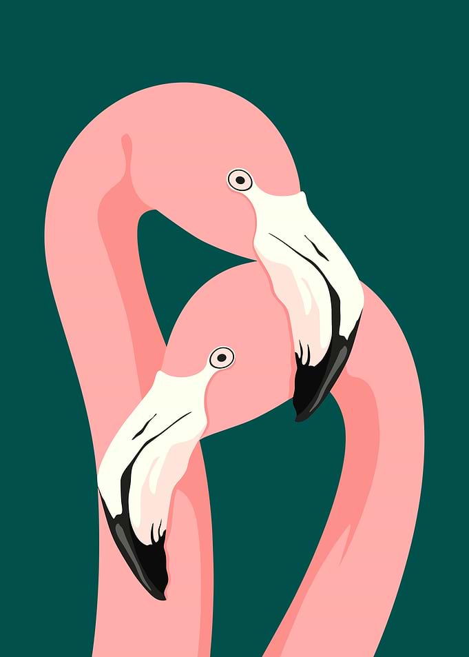Two Flamingos in Love