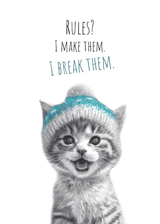 Cool cat – Cheeky Devil