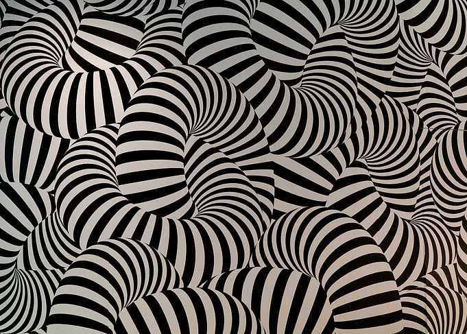 Black and White Striped Worms