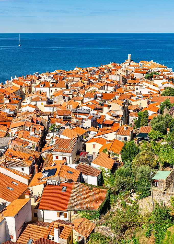 Coastal Town with Orange Roofs