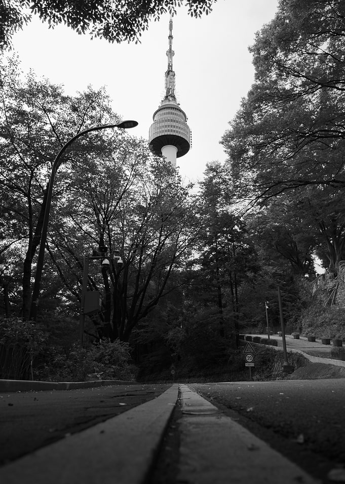 N Seoul Tower Black and White
