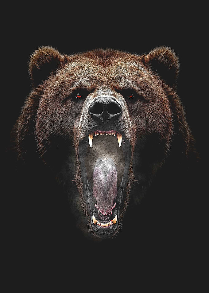 Roaring Brown Bear Portrait