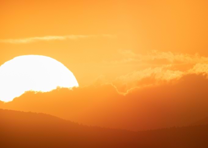 Golden Sunset