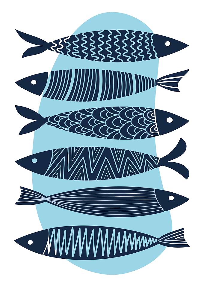 Stylized Fish Illustration