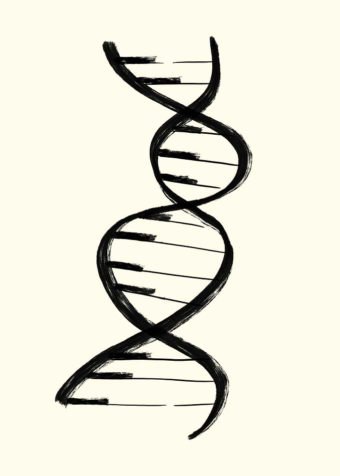 DNA Piano Music