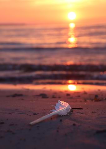 Feather on beach at sunset