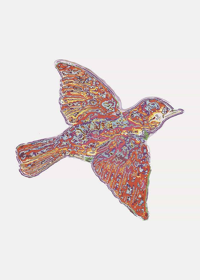 Abstract Bird Art