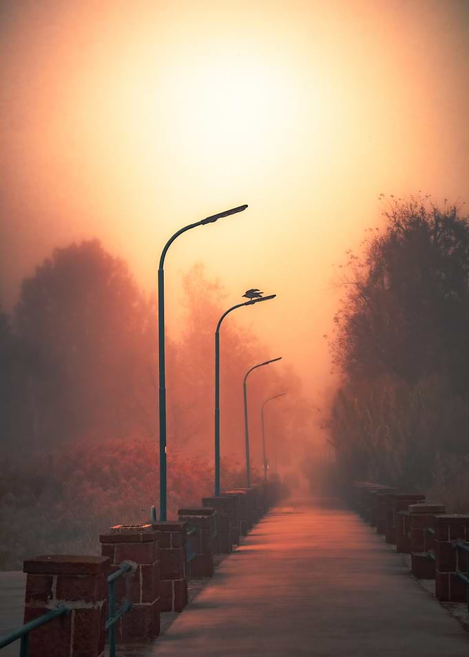Foggy Path with Streetlights