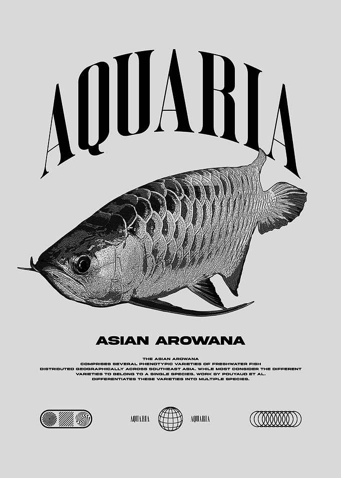 Arowana Monster Fish Keeper