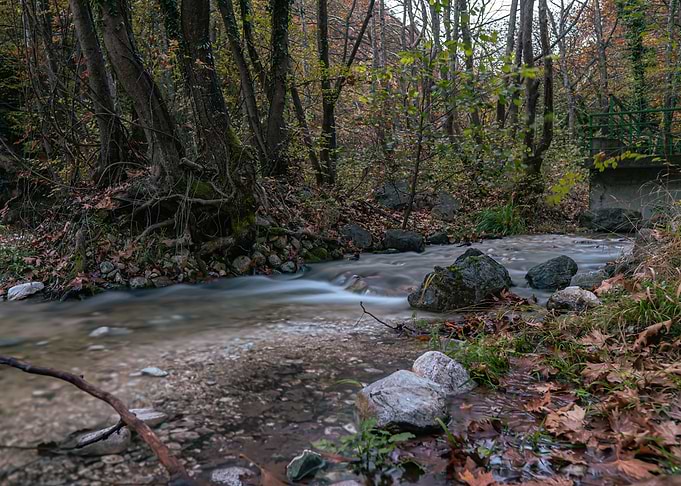 Autumn Stream in Forest