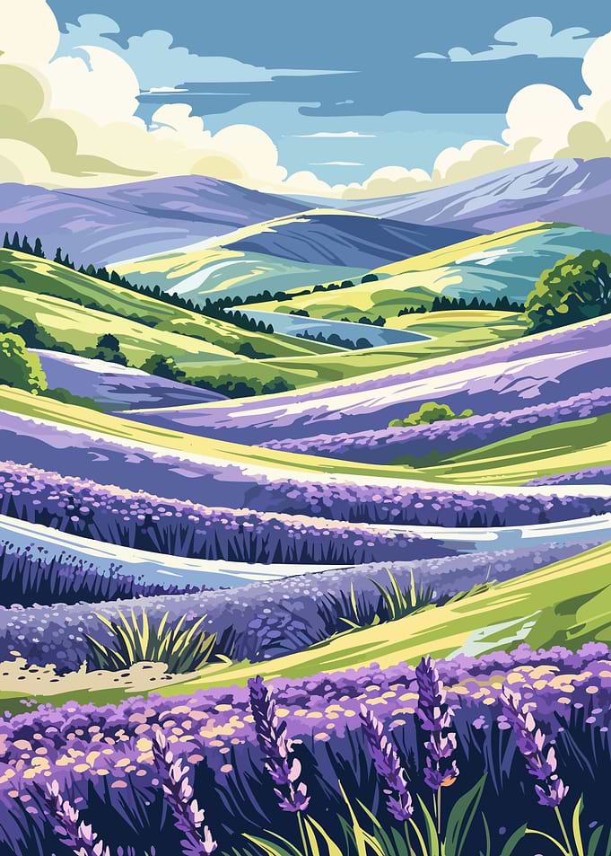 Lavender Field Landscape Illustration