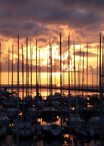 Marina at Sunset