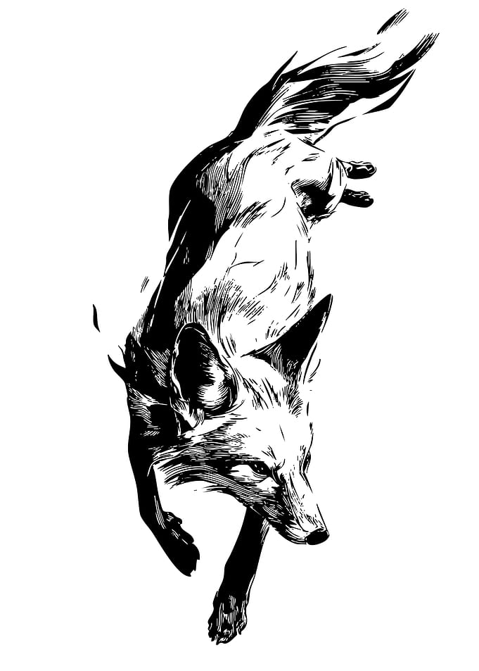 Fox Illustration in Black and White