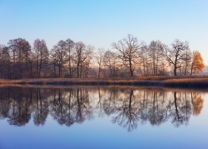 Reflections on a Calm Lake, Poland
