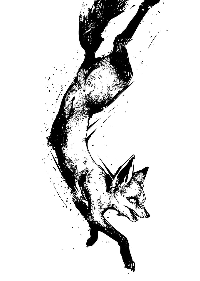Fox in Black and White Ink
