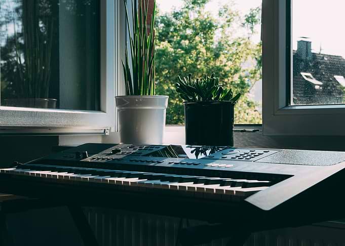 Keyboard and Plants by the Window