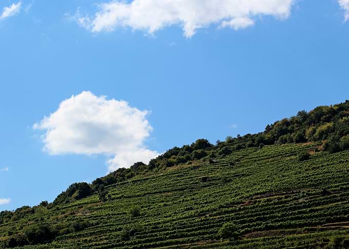 Green hillside under a blue sky