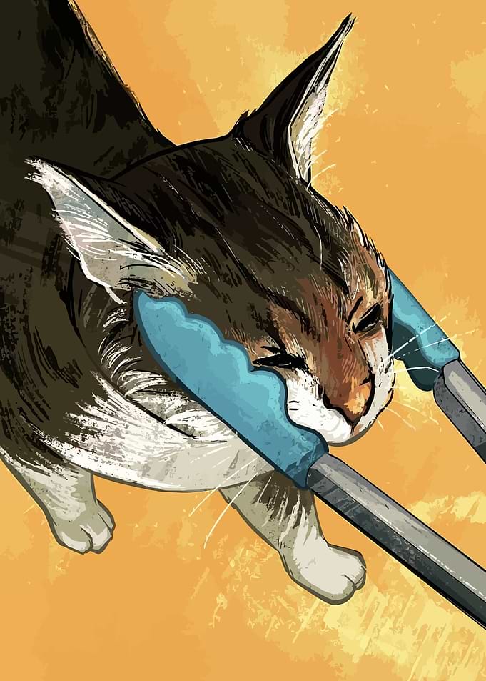 Cat Squeezed by Blue Forceps