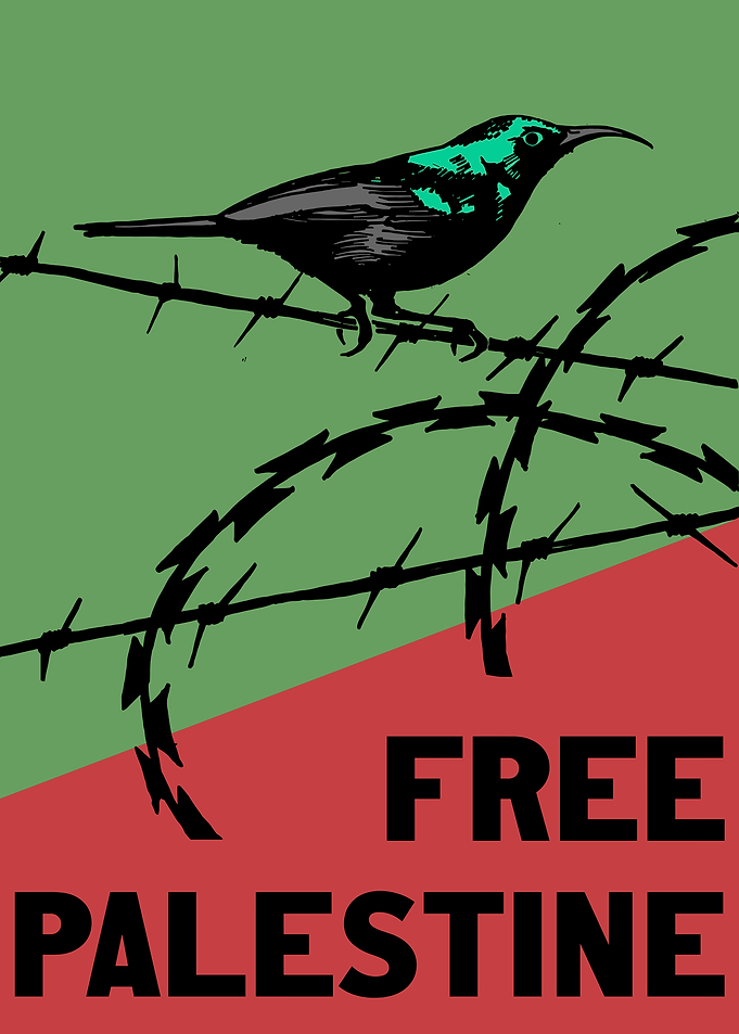 Free Palestine Bird Barbed Wire Poster