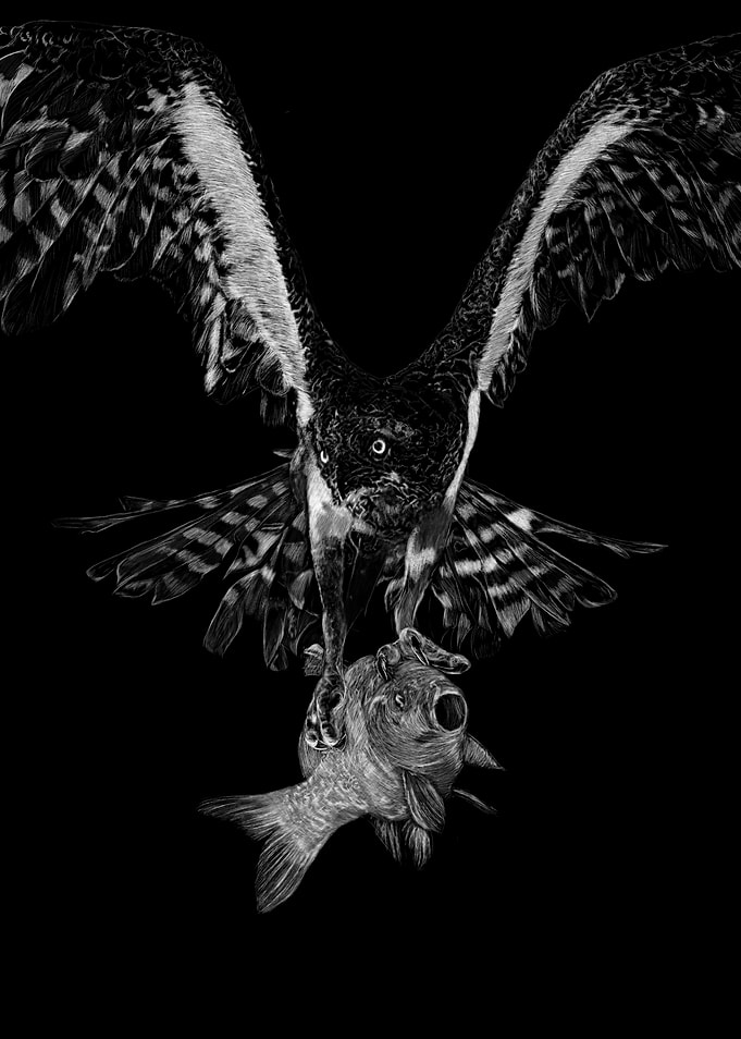Eagle