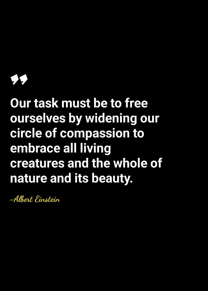 Einstein Quote: Compassion and Nature
