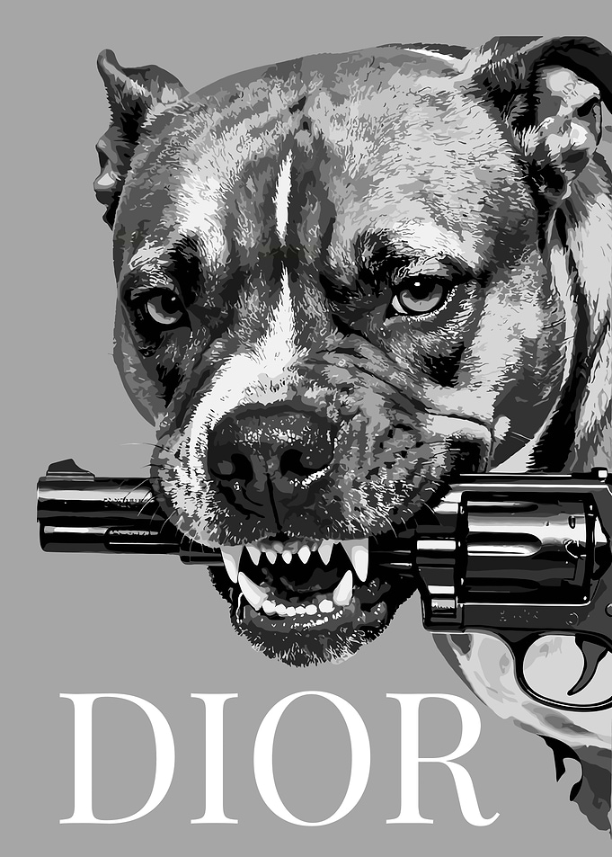 Dog with Gun and Dior Text