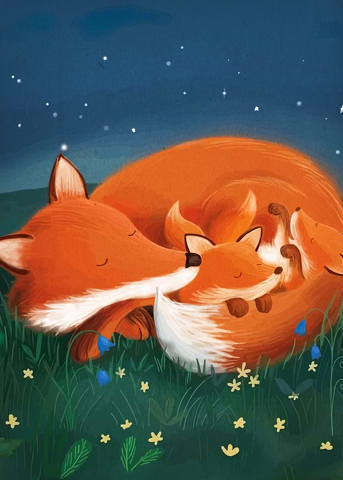 Sleeping Fox Family Under Starry Sky