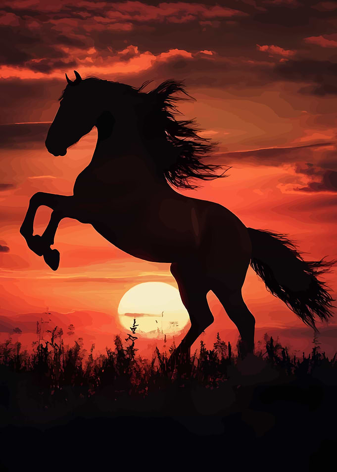 Silhouette of Rearing Horse at Sunset