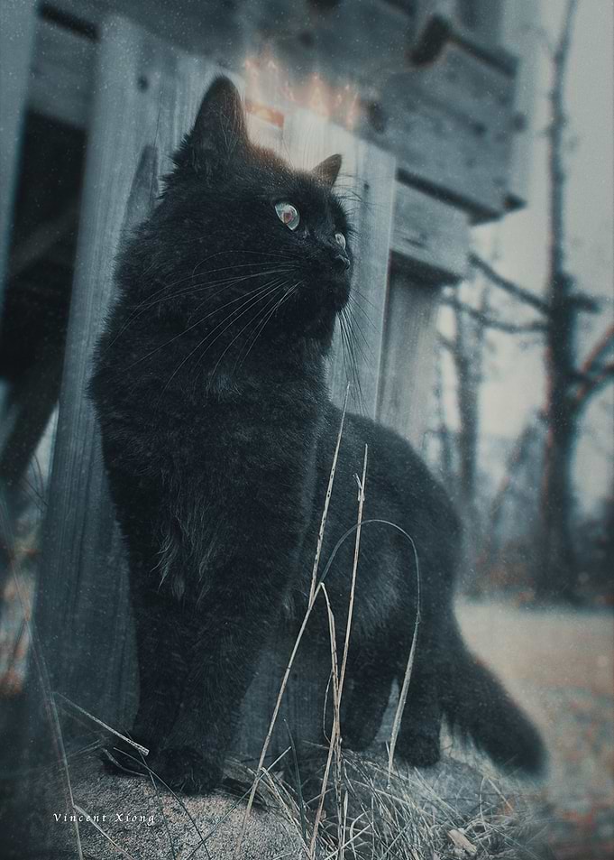 The Guardian