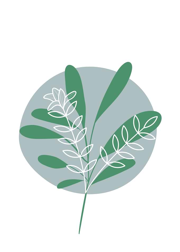 Botanical Illustration with Green and White