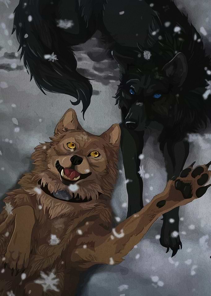 Two Wolves in the Snow