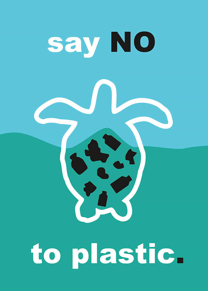Say No to Plastic Turtle