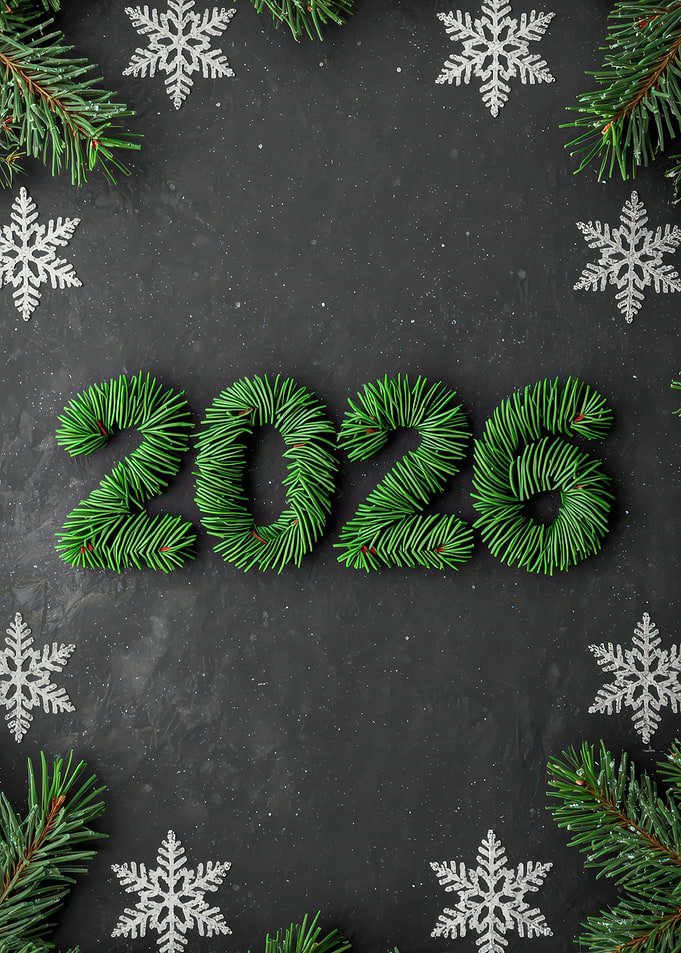 2026 New Year Holiday Decoration