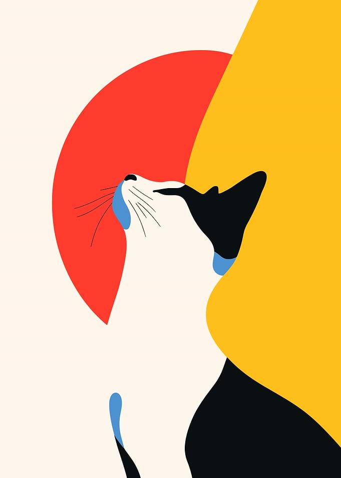 Abstract Cat Art