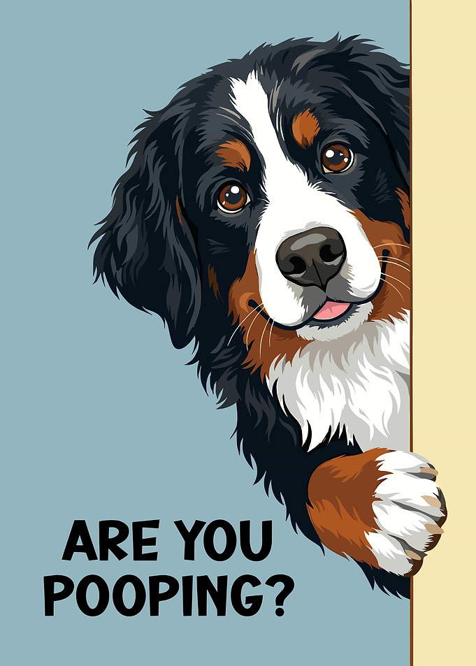 Funny Are you pooping? Bernese Mountain Dog