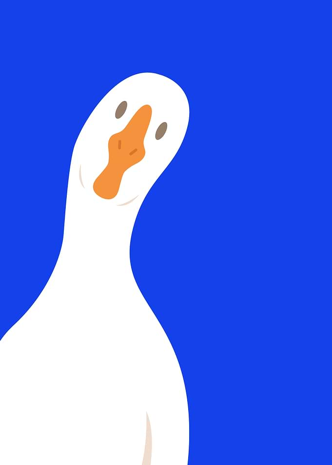 Goose