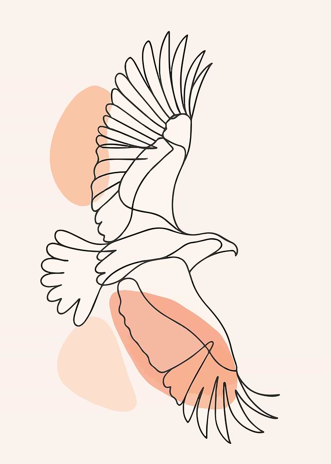 Eagle Line Art with Abstract Shapes