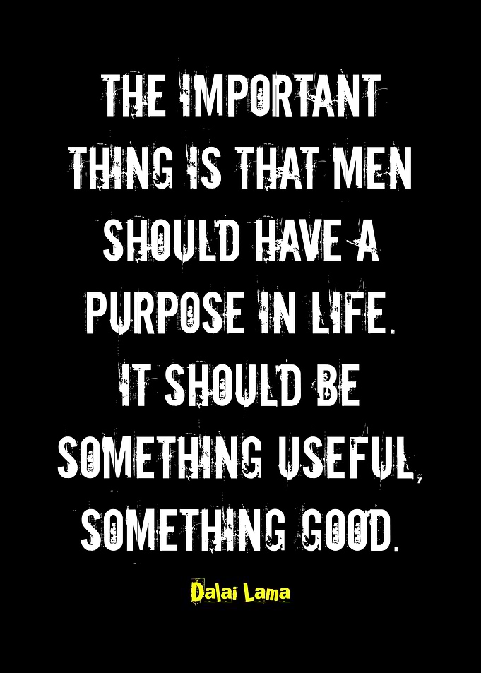Purpose in Life Quote by Dalai Lama