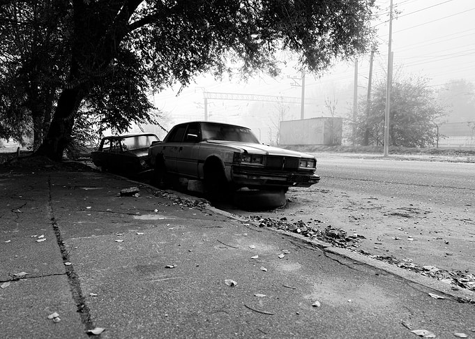 Abandoned Cars Under Tree in Black and White