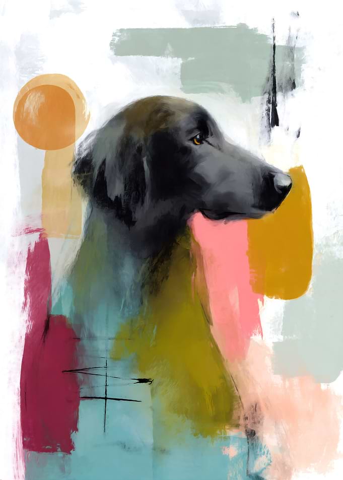 Abstract Flat-coated Retriever Portrait
