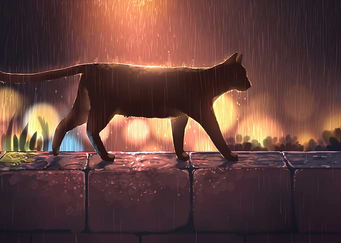 Cat walking in the rain