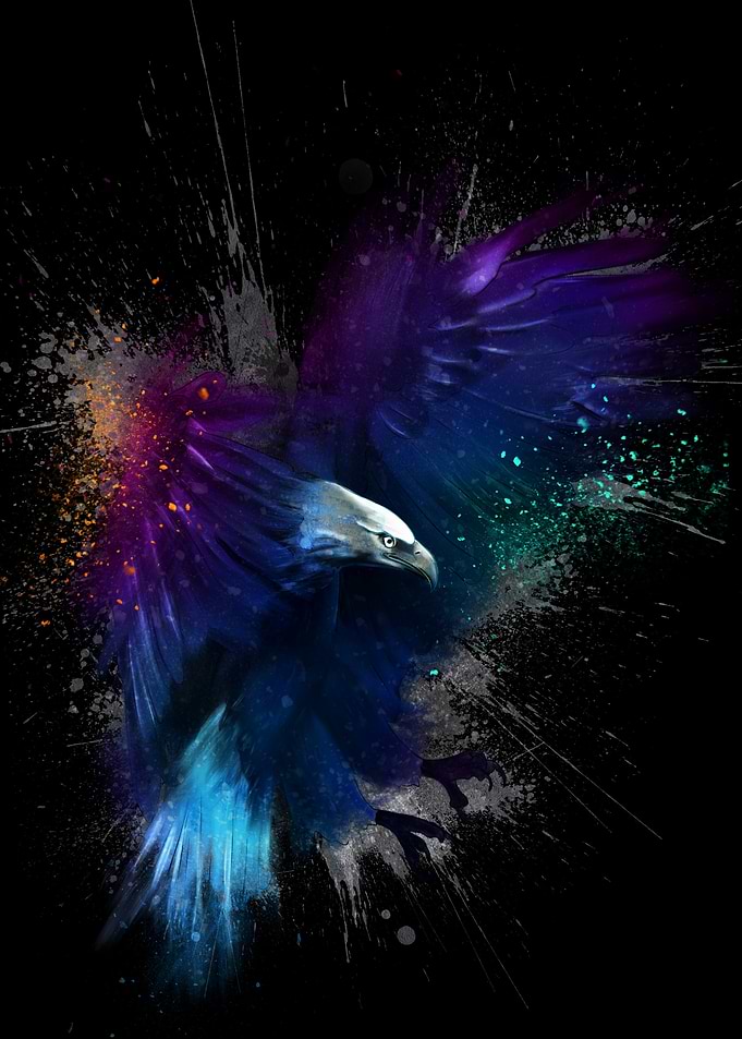 Colorful Eagle Digital Art on Black